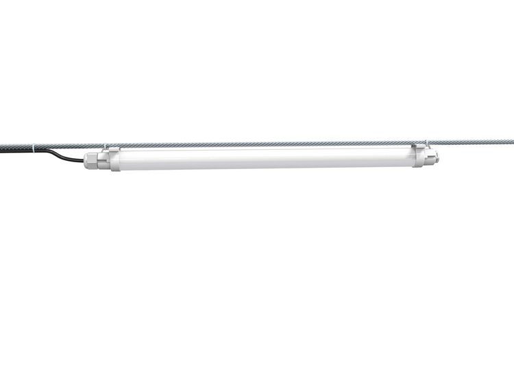 artificial lighting for chickens artificial lighting for chickens