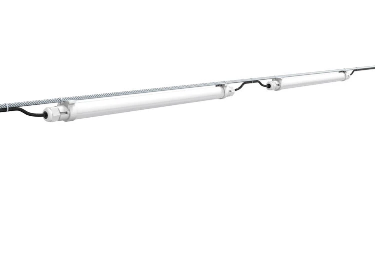 best light for chicken coop best light for chicken coop