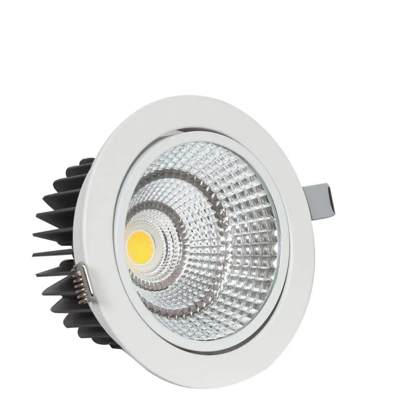 COB Led Downlight 30w COB Led Downlight 30w