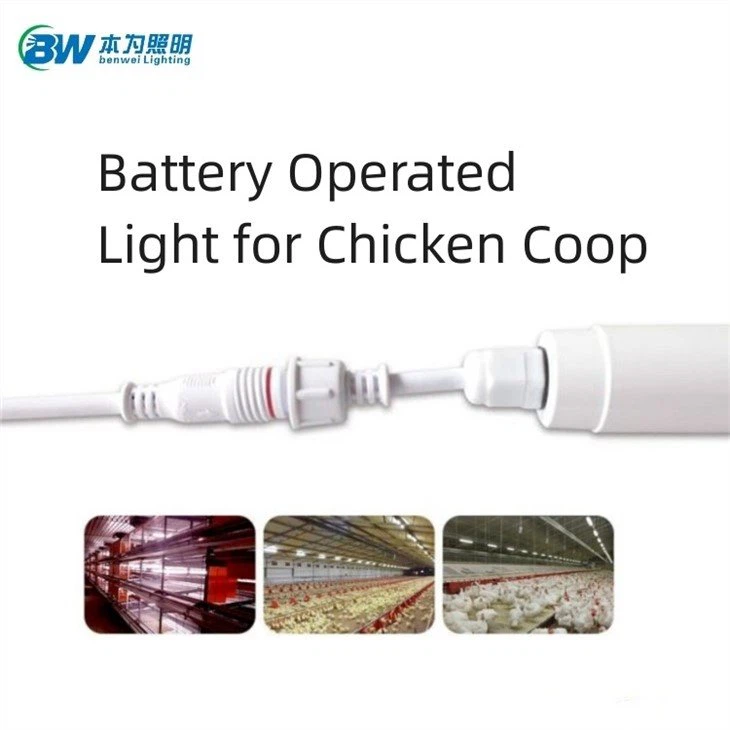 battery operated light for chicken coop