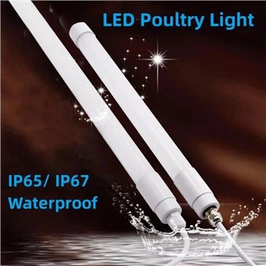 Led rørlys 12v