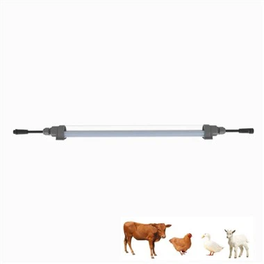 Kyllingelys til lægning