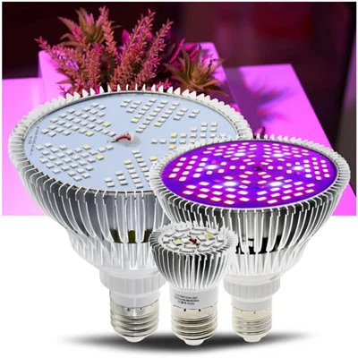 Grow lampe pære