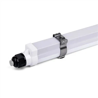 Quail Brooder Light