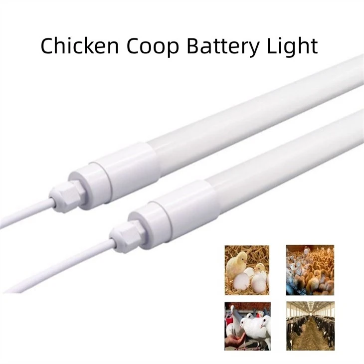 0-12V Dimmable 3100K 12W Chicken Light