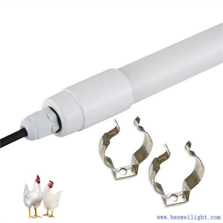 chicken coop light fixture
