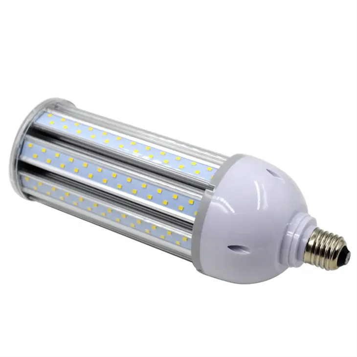 Corn Bulb With Bottom (1)