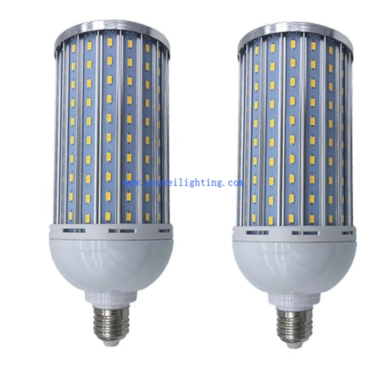 Corn Bulb With Bottom (1)