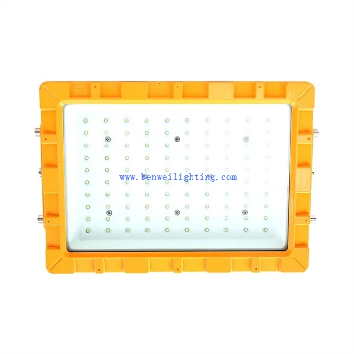 Explosion-proof Light For High Protection Requirements (1)