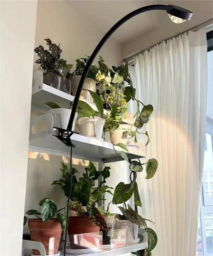 Garden Light -70℃