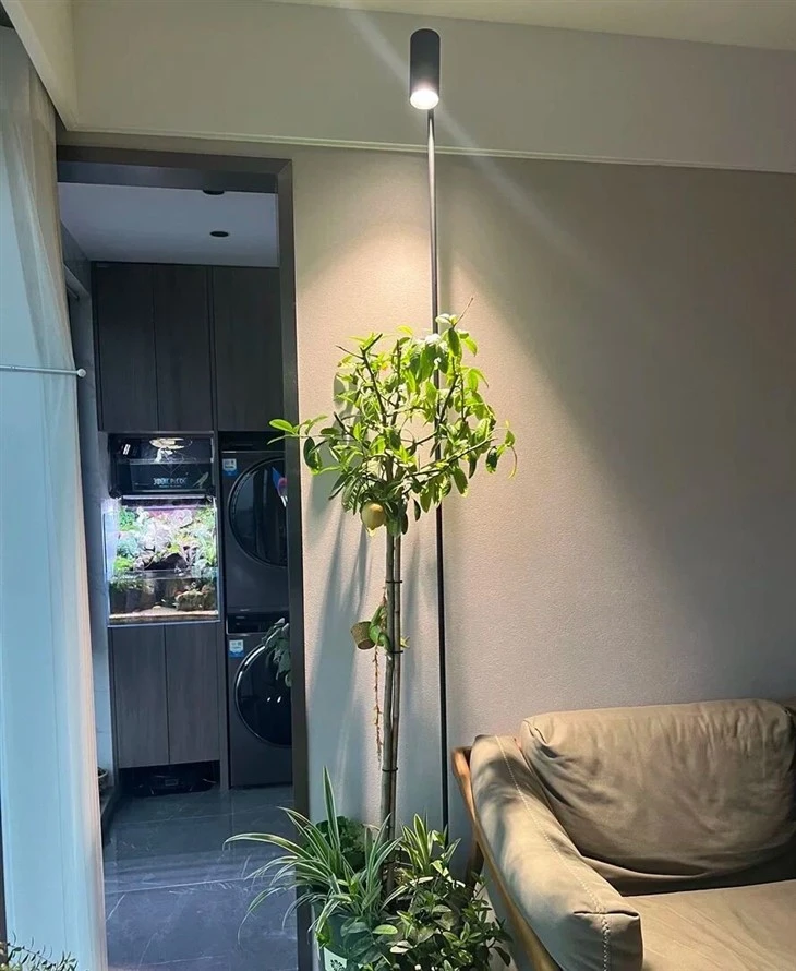 Garden Light -70℃