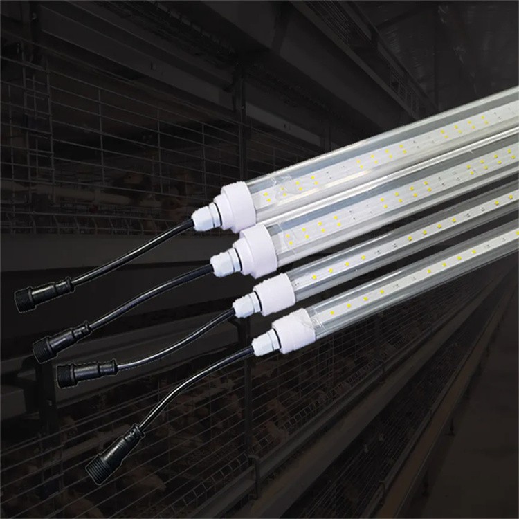 Pullet Light 2
