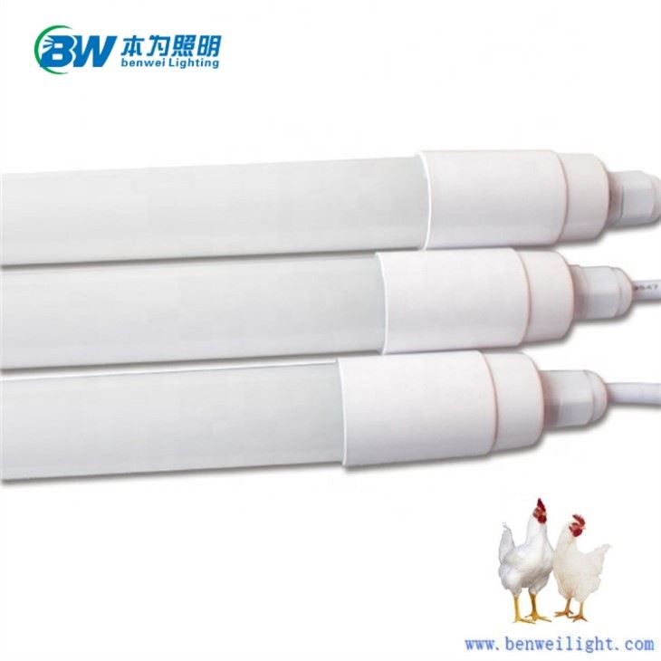 LED Lamp For Chicken