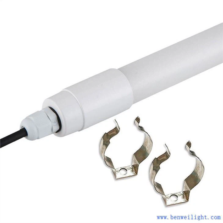 LED Poultry Light