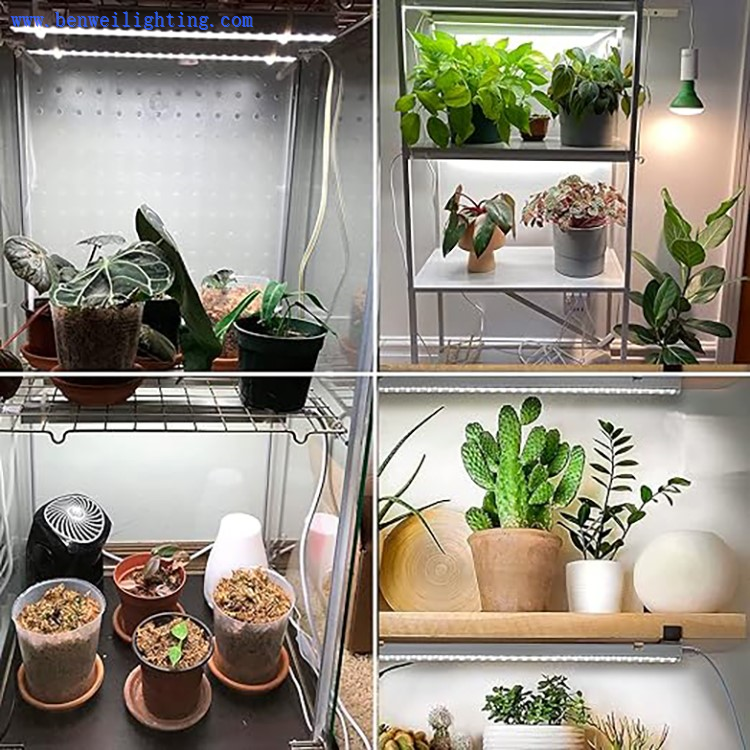 plant lights for indoor plants plant lights for indoor plants
