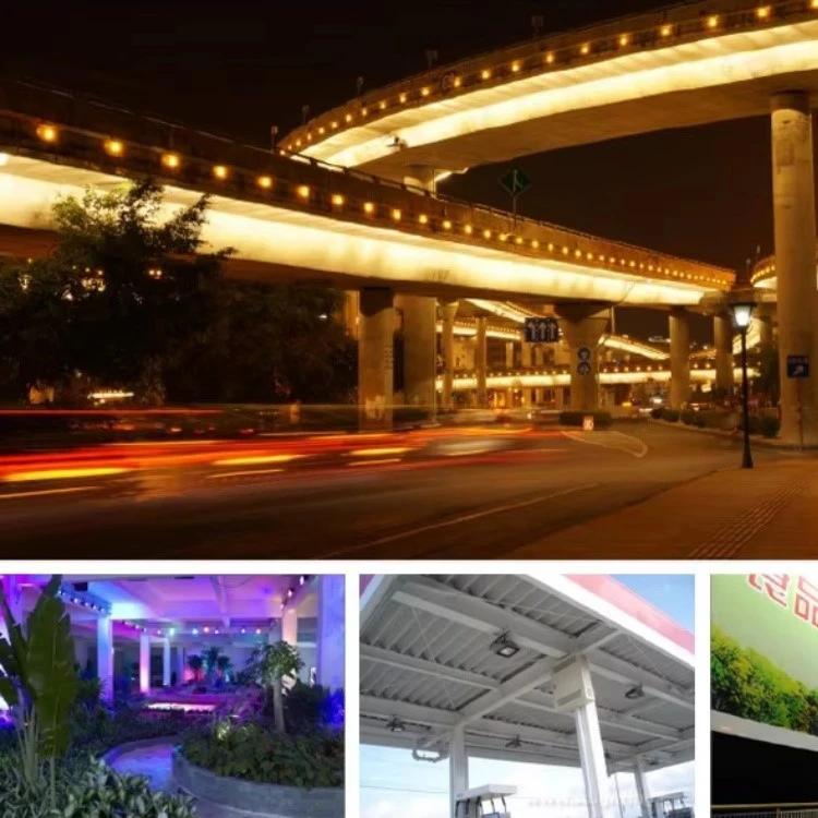 IP66 Outdoor LED Flood Lighting IP66 Outdoor LED Flood Lighting