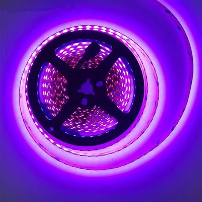 5000*5mm Led Lys Strip