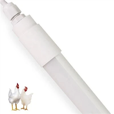 9w kylling LED lampe