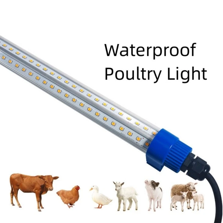 chicken coop led light