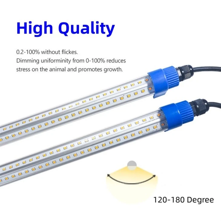 lights for chicken egg production